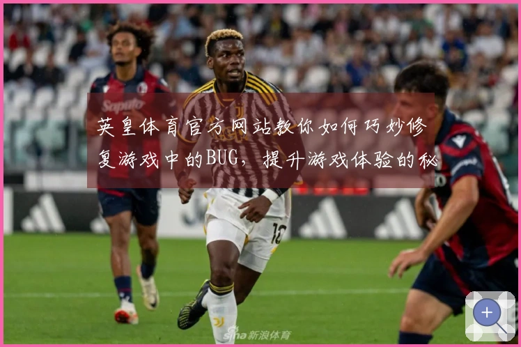 英皇体育官方网站教你如何巧妙修复游戏中的BUG，提升游戏体验的秘密！
