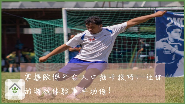 掌握欧博平台入口抽卡技巧，让你的游戏体验事半功倍！